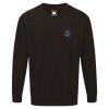Buzzard V-Neck Sweatshirt Thumbnail